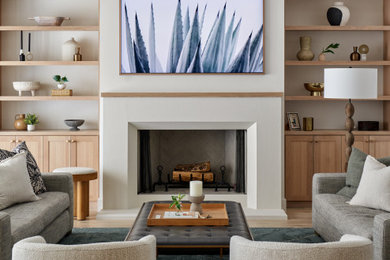 Living room - transitional living room idea in Dallas