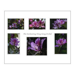 Welcome to Spring - Fine Art Prints