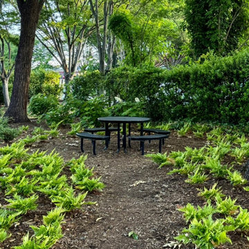 Veterans Memorial Park, Davidson, NC