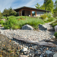 Sarah's Garden