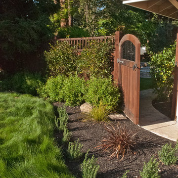 Drought Tolerant 4
