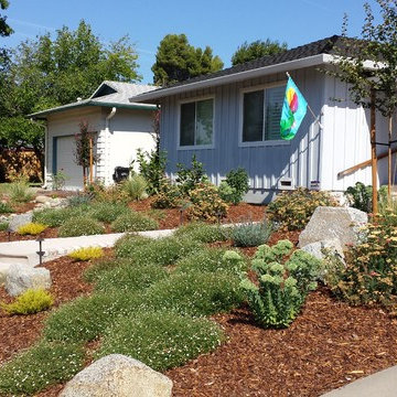 Frontyard Transformation III - After I
