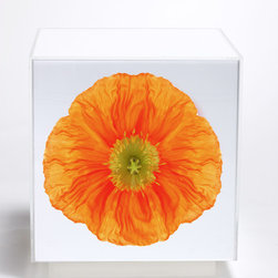 Orange Poppy Cube - Side Tables And End Tables
