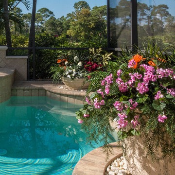 Pool Planter Makeover