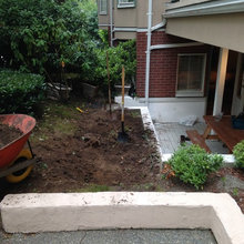 my renovation