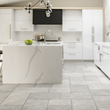 Orinda Urban Modern Kitchen