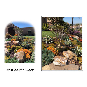 Succulents, Water-wise, Grasses, Rock Gardens