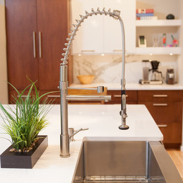Contemporary Renovation
