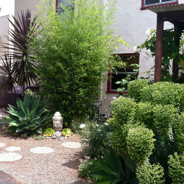 San Mateo Eco Friendly
