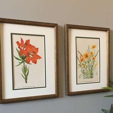 Botanical Prints