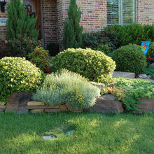 Front Yard Landscaping