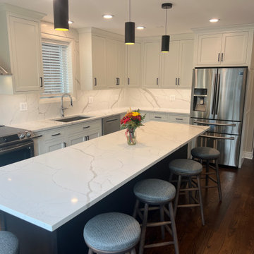 Chicago Kitchen/Dining Renovation