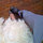 webuser_6898514