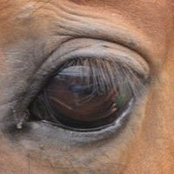 Tammy Pocock's photo