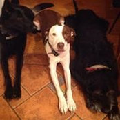 Stephanie Weisend's photo