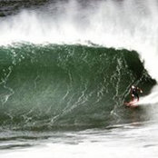Robin Banks's photo