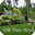 NW Tree Work