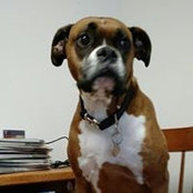 Mike Terrell's photo