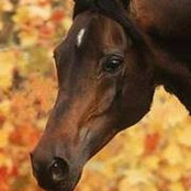 Cindy Derosier's photo