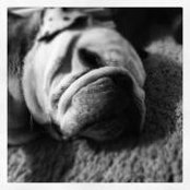 Christian Ronk's photo