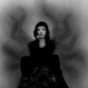 Danielle Pontarelli's photo
