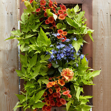 Romantic Rooftop Garden with Wall Planters