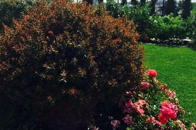 ミラノにあるカントリー風のおしゃれな庭の写真