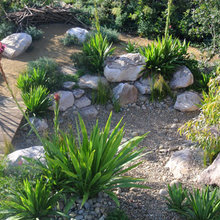 Thornton back yard