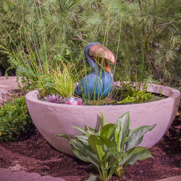 Container Water Gardens