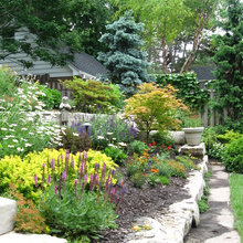 Backyard Landscape