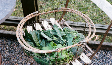 3 Chores to Do Now to Prep Your Garden for Winter and Spring