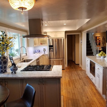 Kitchen Remodel - Woodland Hills
