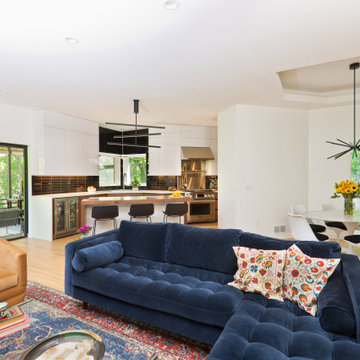 Excelsior Modern Remodel
