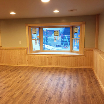 Basement Renovation