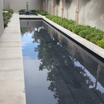 Magnolia Reflection