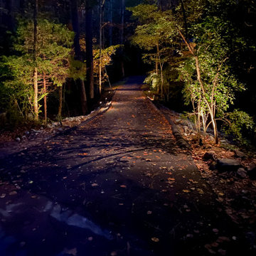Chapel Hill Driveway