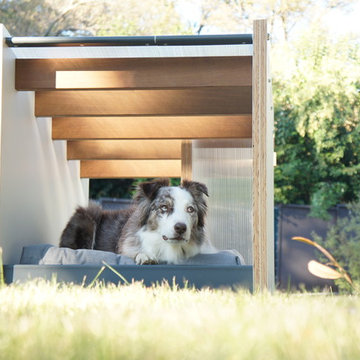 ASPCA Doghouse