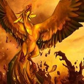 Photo de Pheonix Rising