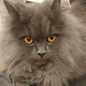 Debbie Westlake's photo