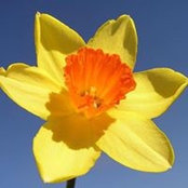 Foto von Anne Head