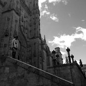 Joe Della Maggiore's photo