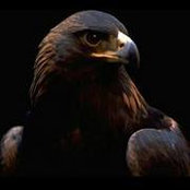 Sherif H.Hassanien's photo
