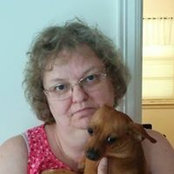 Barbara Crossnos billede