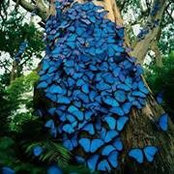 Melissa Ellis's photo