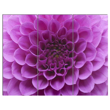 Light Purple Flower and Petals, Floral Canvas Art Print, 36x28, 3 Panels