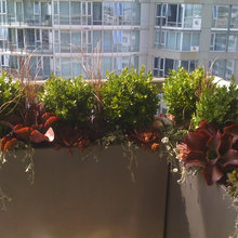 balcony gardening