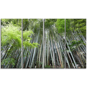 "Dense Bamboo Forest of Japan" Forest Canvas Wall Art Print, 4 Panels, 48"x28"