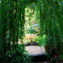 Landscape Ideas