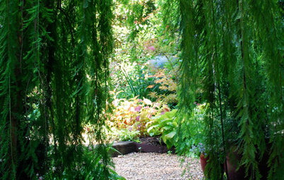 To Make Your Garden Memorable, Add a Hint of Mystery