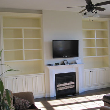 Lacquered Bookcases with toy storage